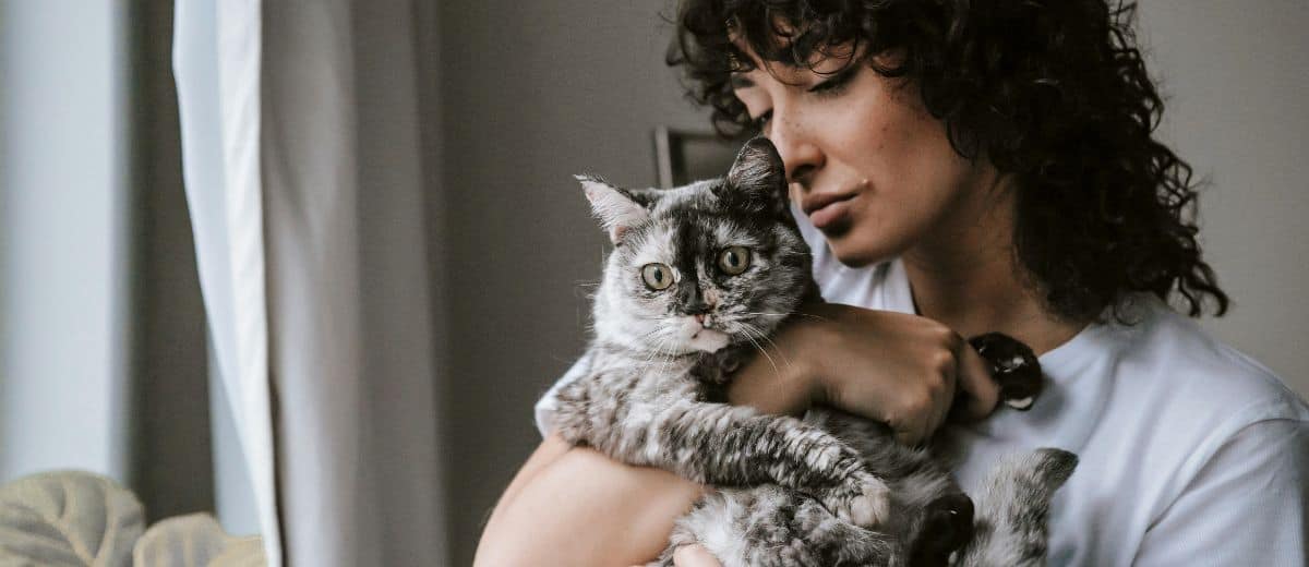 Adorable tabby cat being cuddled by a woman at Cat Adventure Land, perfect for cat lovers and family fun.